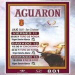 Aguaron