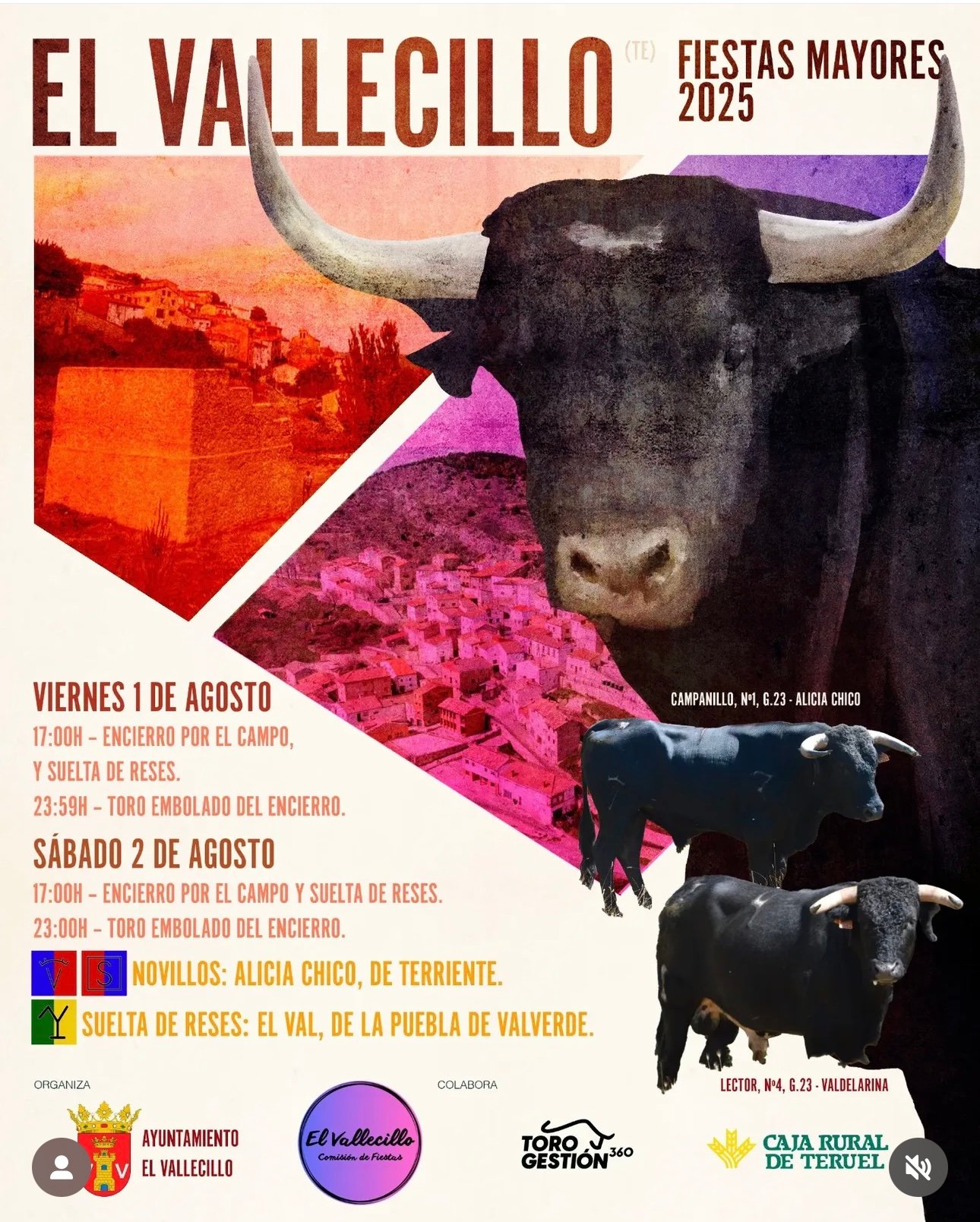 El Vallecillo
