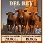 Pedrosa del Rey