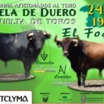 Tudela de Duero