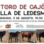 Villa de Ledesma