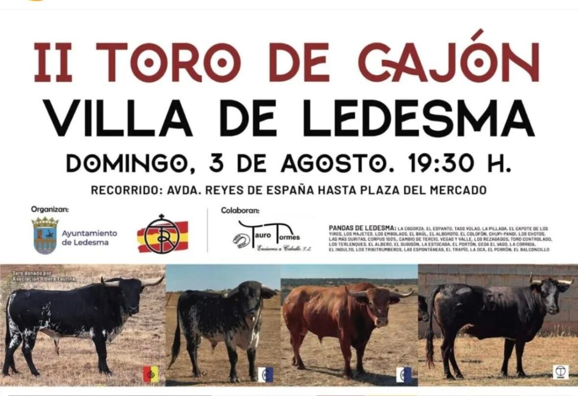 Villa de Ledesma