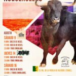 Nogueruelas