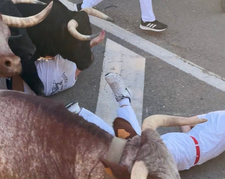 Segundo encierro de Tudela 2025: los toros de Garzón Valdenebro se lucen al comienzo y los cabestros al final