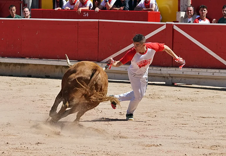 Mario González y Kimera se imponen en Pamplona frente a Emilia de Eulogio Mateo