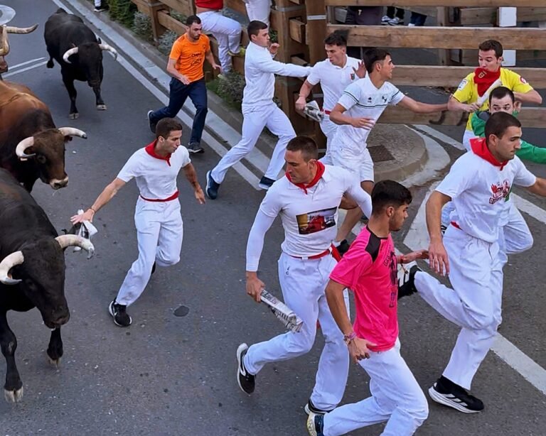 Bonito primer encierro de Tudela 2025: los de Tornay, por delante, poniendo emoción