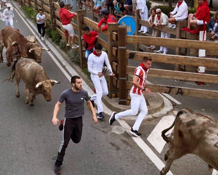 Sexto encierro de Tudela 2025: Los jaboneros de Gregorio Oliveira por Toropasión cierran con belleza las carreras matinales