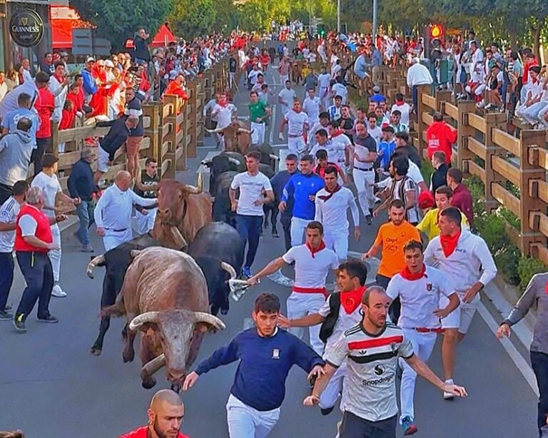 Tercer encierro de Tudela 2025: Disfrute de los mozos con toros de Rosa Rodríguez