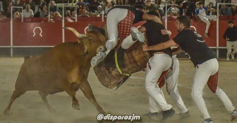 Pina de Ebro gana el Concurso nocturno de Roscaderos en Villanueva de Gallego con vacas de Alejandro Cantín