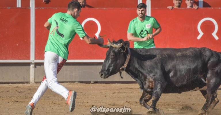Chus Zaldívar y Rafa Moralo se imponen en el concurso de recortadores de Lécera ante vacas de Raúl Izquierdo