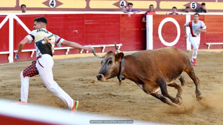 Mesonera, de Eulogio Mateo, les da el triunfo a Xabier Iturralde y Javier Soler en Lodosa