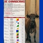 Ejea de los Caballeros