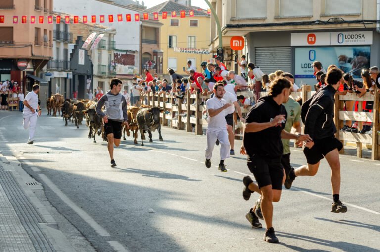 Belleza y poesía en Lodosa: 20 reses de Eulogio Mateo cierran los encierros con carreras de arte