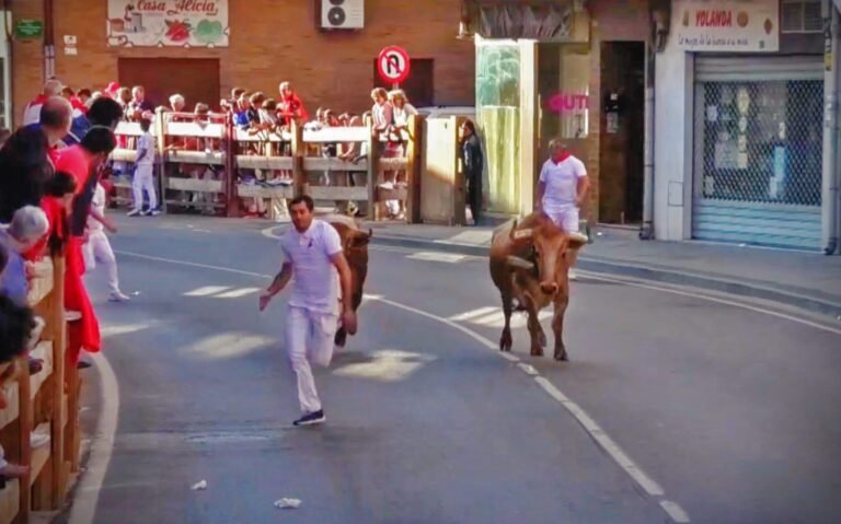Pocas, pero preciosas carreras en el encierro de Eulogio Mateo en Lodosa
