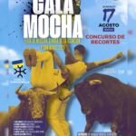 Calamocha