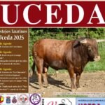 Uceda
