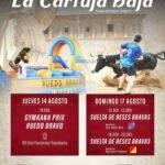 La Cartuja Baja