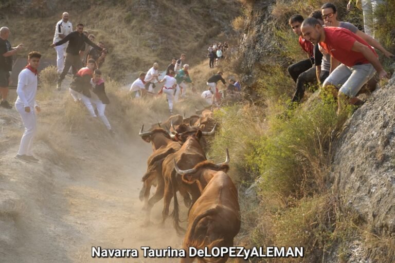 Martina a la Poza y Tenderica como un misil: la Casta Navarra de Reta arrasa en el Cuarto Pilón de Falces 2025