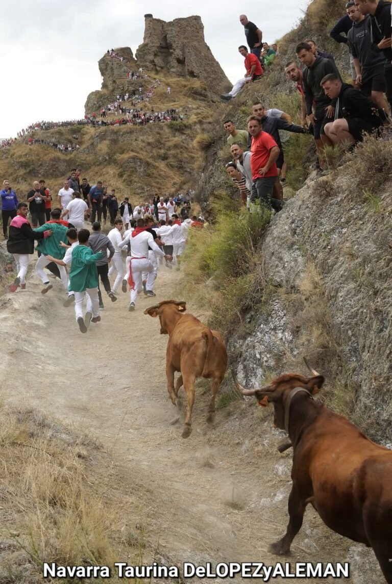 Sexto Pilón de Falces 2025: intensidad, muchas caídas y grandes carreras con Hípica Zahorí