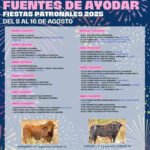 Fuentes de Ayodar