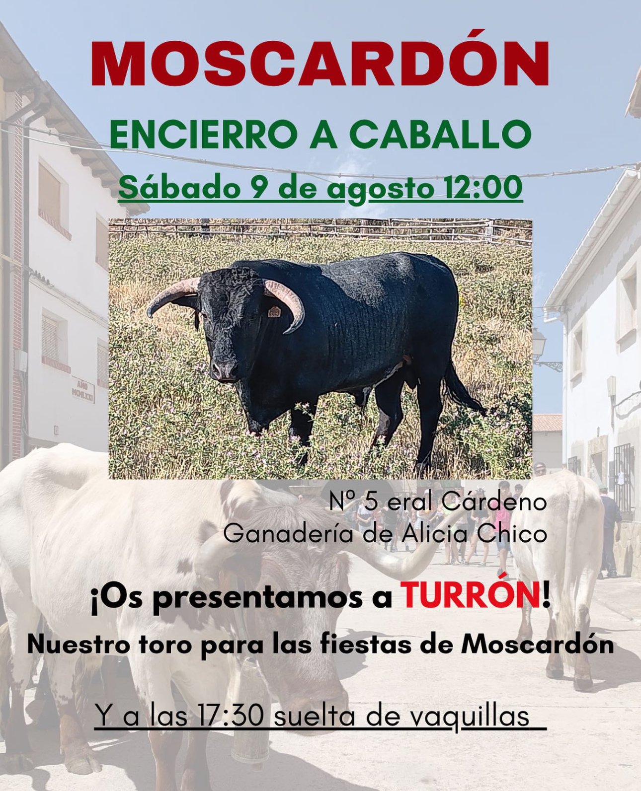 Moscardón