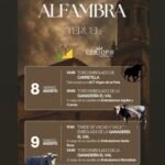Aguilar del Alfambra
