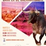 Samper de Calanda