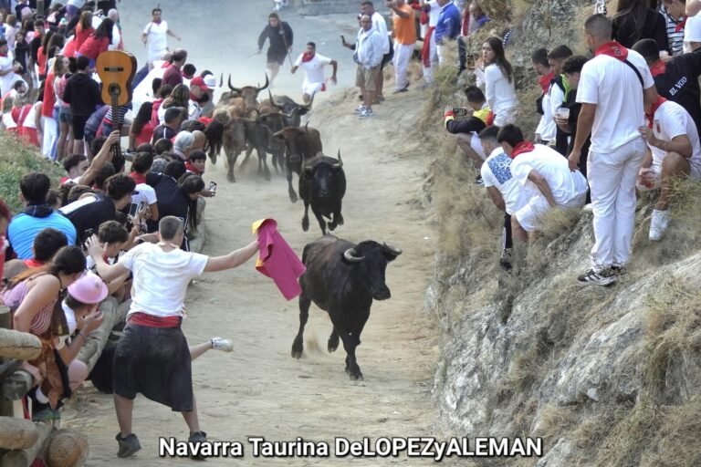 Octavo y último Pilón de Falces 2025: broche de oro de Teodoro Vergara con la legendaria 81 como protagonista