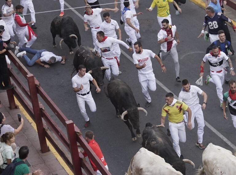 Un buey cornea a un corredor extremeño en el octavo y último encierro de San Sebastián de los Reyes 2025 
