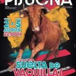 Pisueña