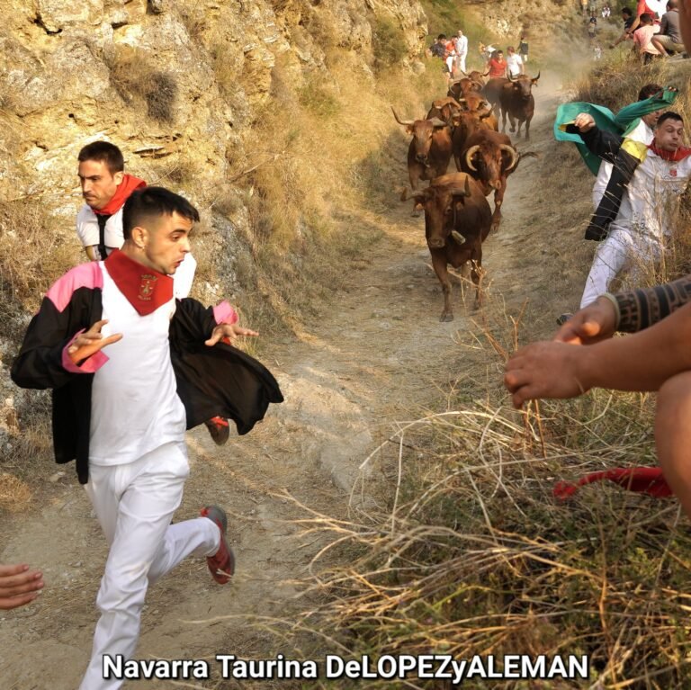 Vuelve el Pilón de Falces y vuelve el Extraterrestre a la Cuesta: Vicente Domínguez permite el lucimiento