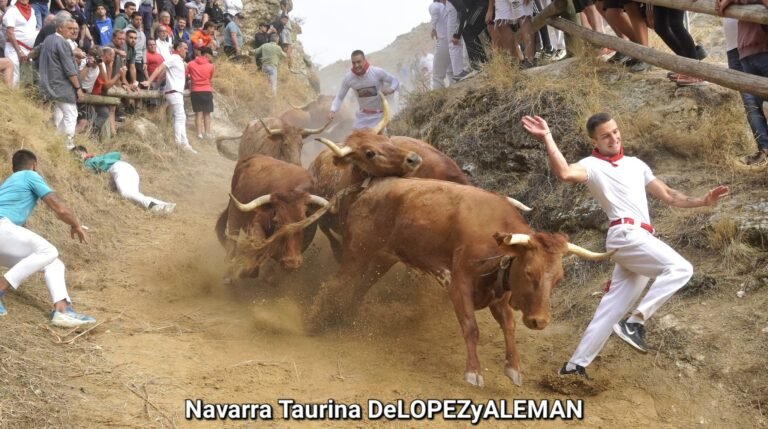 Grandísimas carreras y un Ganadero de Leyenda: Don Eulogio Mateo brilla en el quinto Pilón de Falces 2025