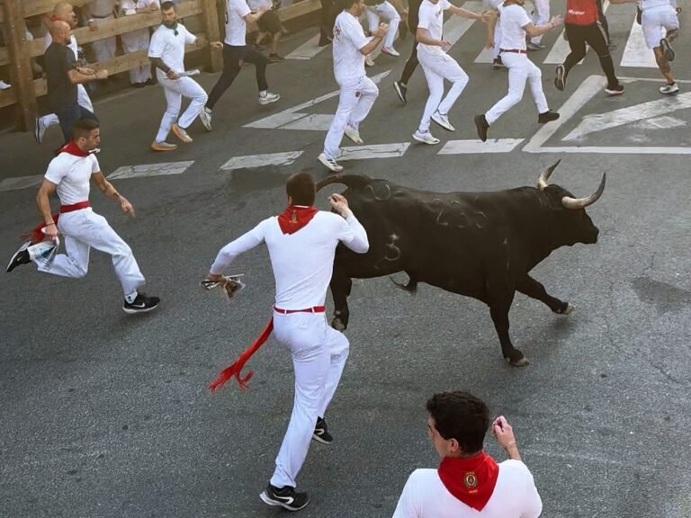 Velocidad, emoción, picante y una coz: segundo encierro de Tafalla 2025 con toros de Palha