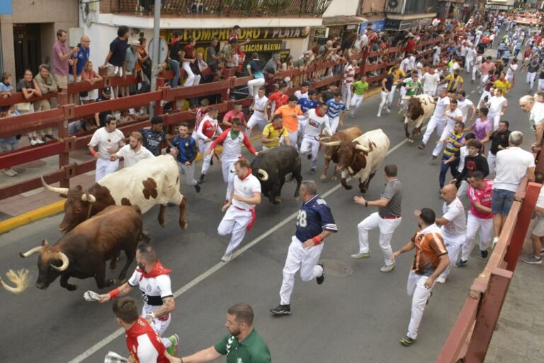 Sexto encierro de San Sebastián de los Reyes 2025: Brillantes carreras con toros de Pinto Barreiros