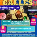 Calles