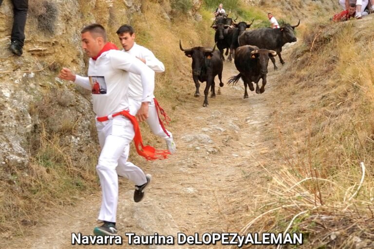 La bravura de Teodoro Vergara arrolla en el tercer Pilón de Falces 2025