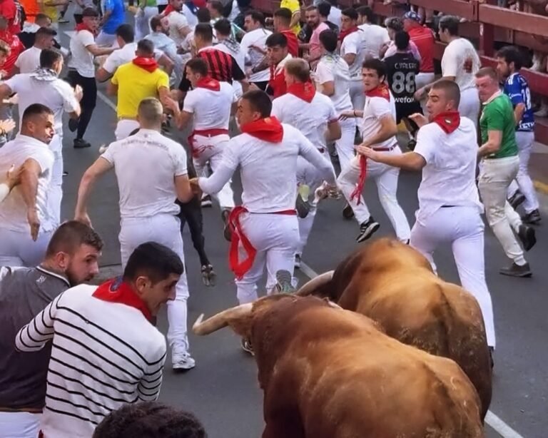 Cuarto encierro de San Sebastián de los Reyes 2025: Velocidad, peligro, disfrute y toro suelto con novillos de Casasola. 