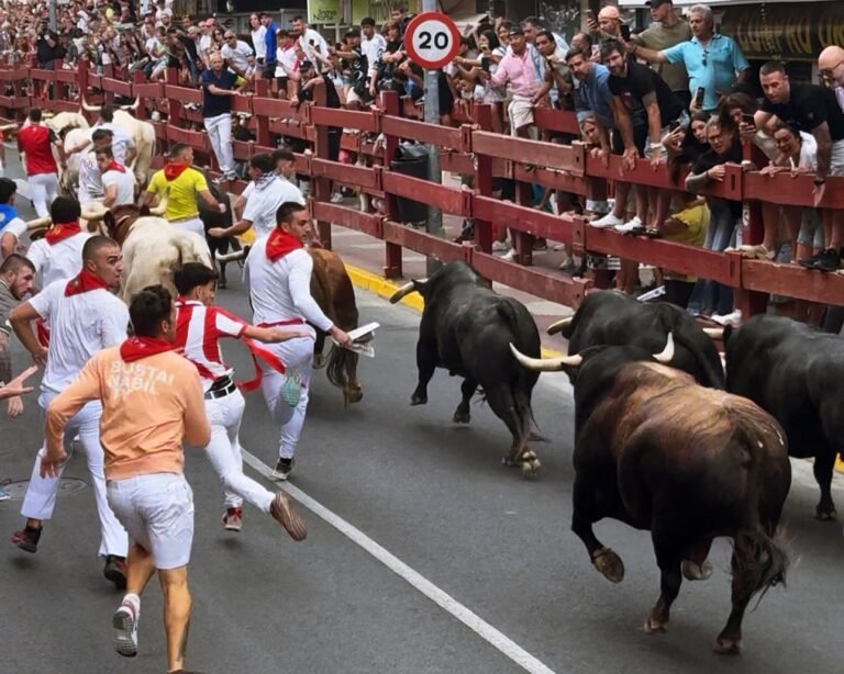 Primer encierro San Sebastián de los Reyes: La Palmosilla abre el ciclo con carreras de calidad y dos mozos trasladados