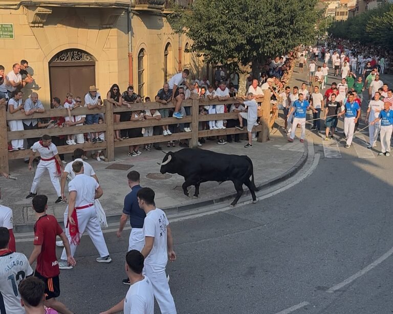Un toro de Conde de la Corte hace el recorrido tres veces en el primer encierro de Tafalla 2025