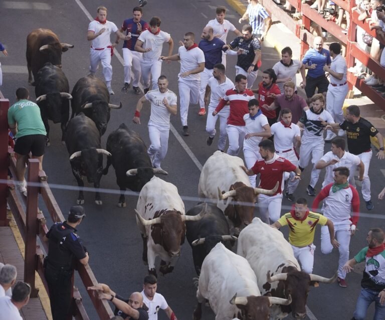 Los toros de Salvador Domecq dejan un corneado en el complicado quinto encierro de San Sebastián de los Reyes 2025 