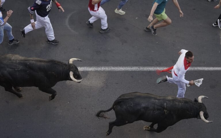Séptimo encierro de San Sebastián de los Reyes 2025: carreras de calidad con dos ganaderías en un sábado masificado