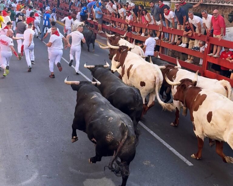 San Sebastián de los Reyes 2025: gran encierro nocturno de Peña de Francia y un tercer encierro exigente con los toros de Carlos Núñez