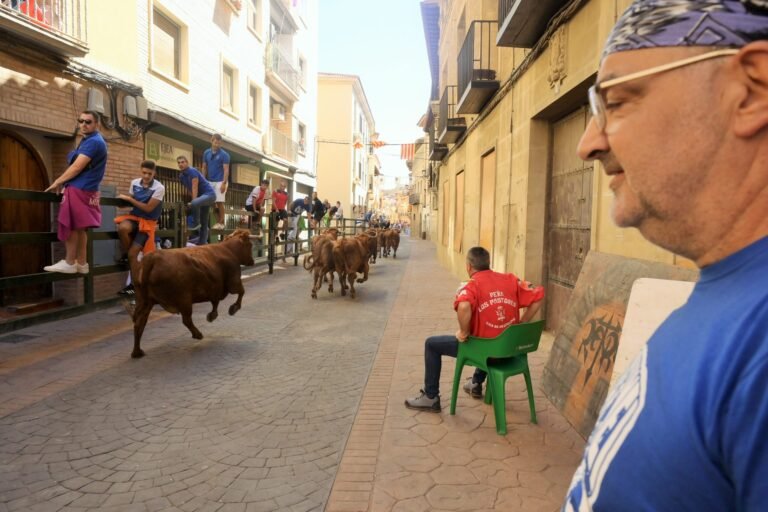 La Chusta gana con El Ancla el XXXII Concurso de Desencajonamiento de Reses Bravas de Ejea: así es este peculiar encierro corrido