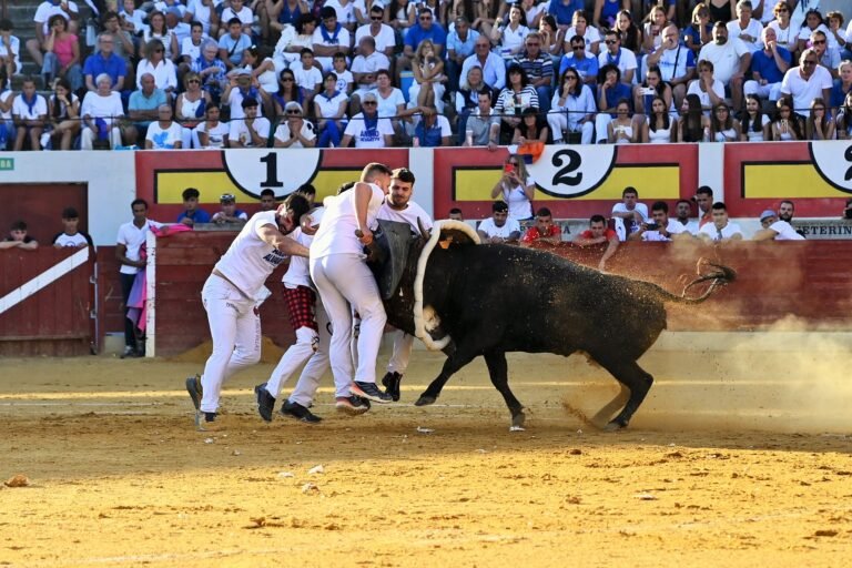 Gallur triunfa en el Concurso Nacional de Roscaderos de Ejea dando una masterclass frente a una gran vaca de Don Jesús Marcén