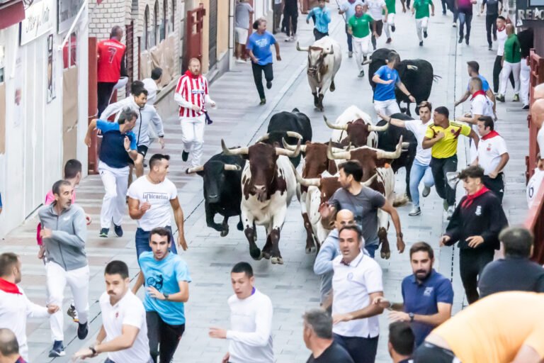 Un trasladado por traumatismo craneal en el cuarto y último encierro de Guadalajara 2025 con toros de Zalduendo