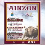 Ainzón