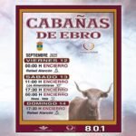 Cabañas de Ebro