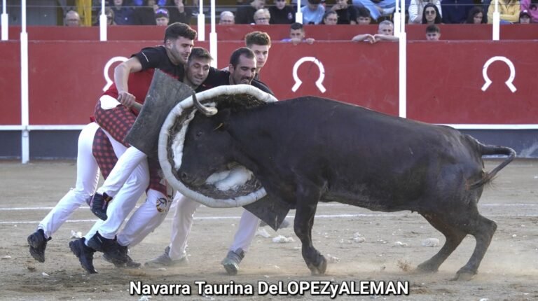 Gallur gana el Concurso de Roscaderos de Borja con vacas de Maylin y celebra bailando su tercera victoria consecutiva
