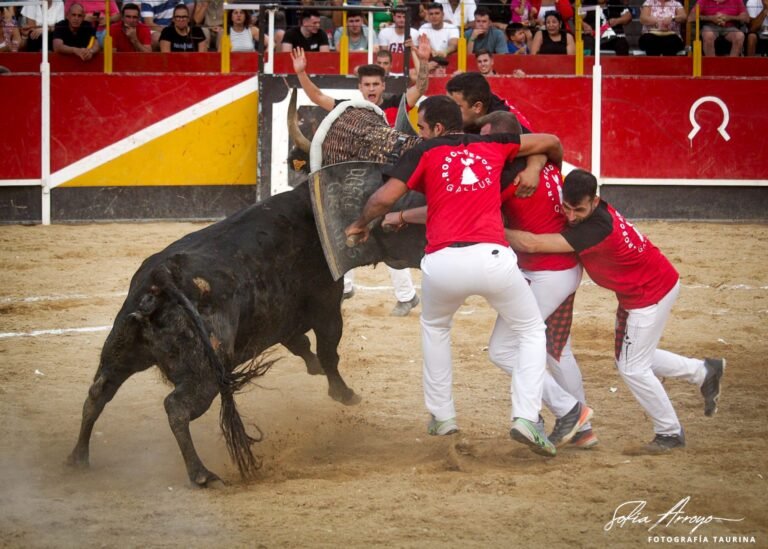 Gallur gana el Concurso de Roscaderos de Épila con una buena vaca de Francisco Murillo Conde en una tarde compartida con Rafael Alarcón