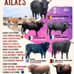 Xilxes